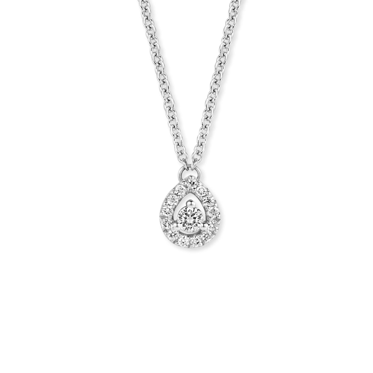 Collier Salina