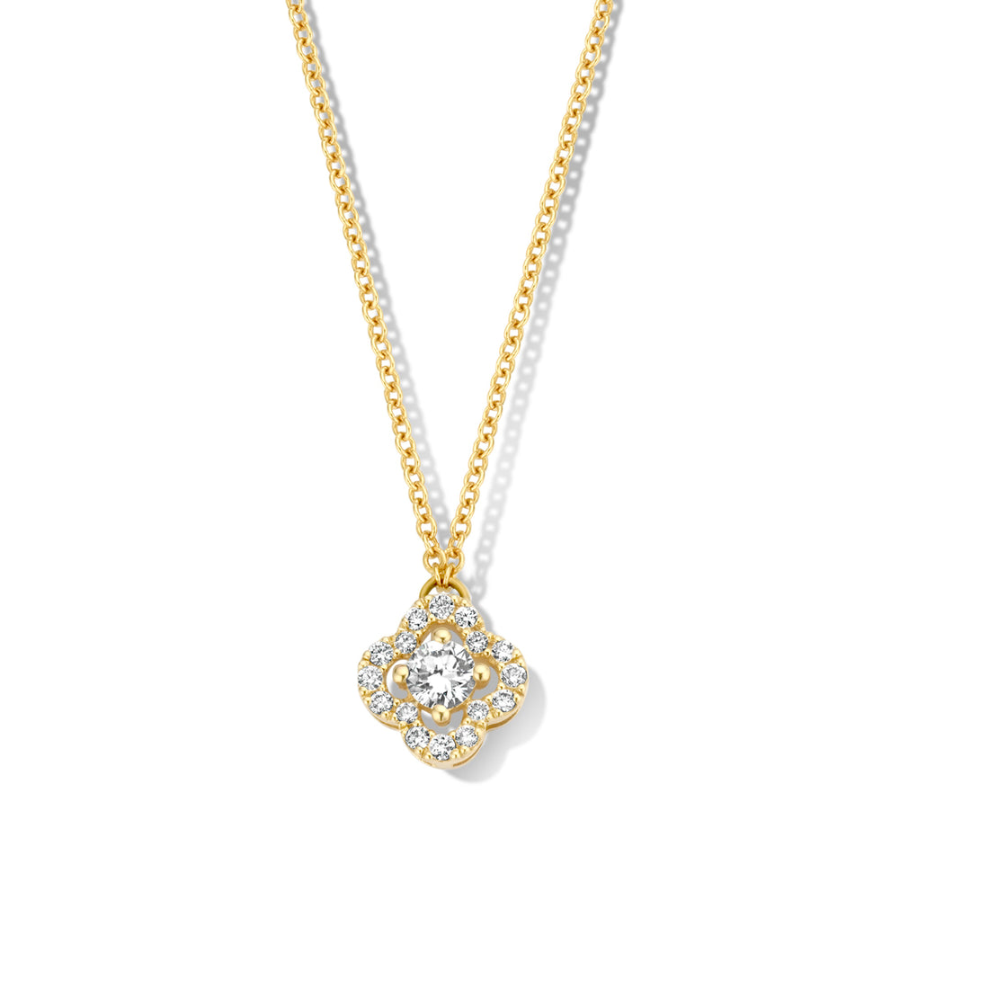 Collier Salina