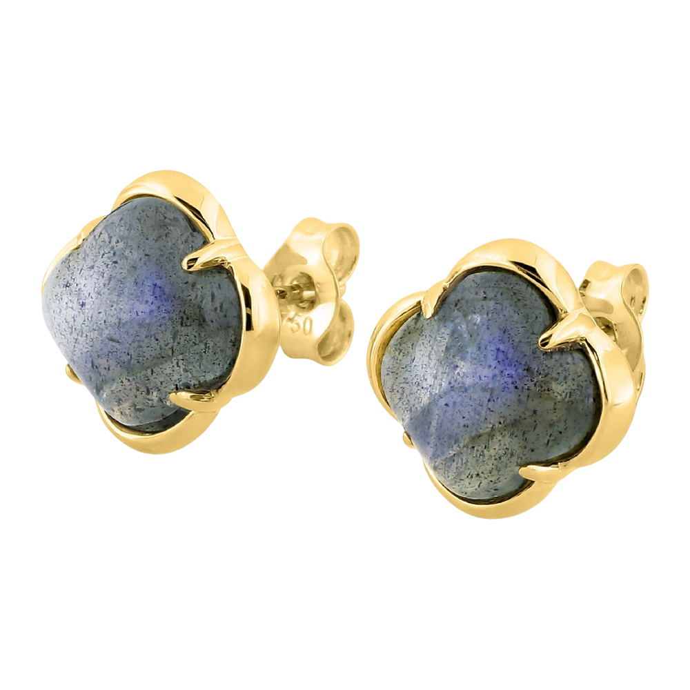 Puces, Labradorite, Or Jaune