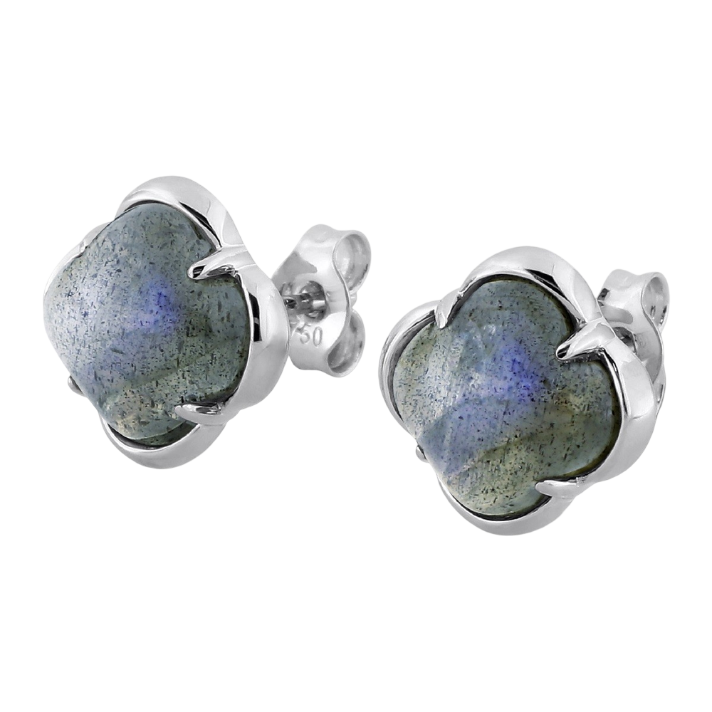 Puces, Labradorite, Or Blanc