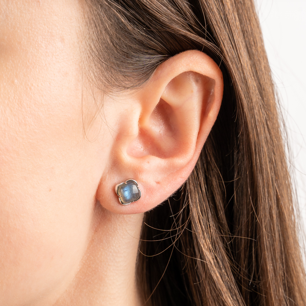 Puces, Labradorite, Or Blanc