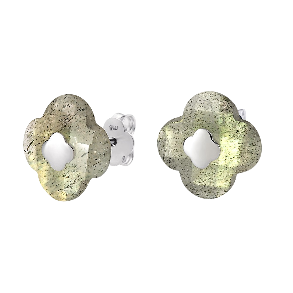 Puces, Labradorite, Or Blanc