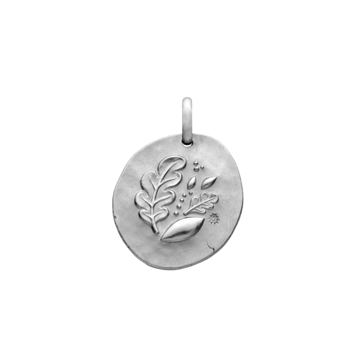 Médaille Terre