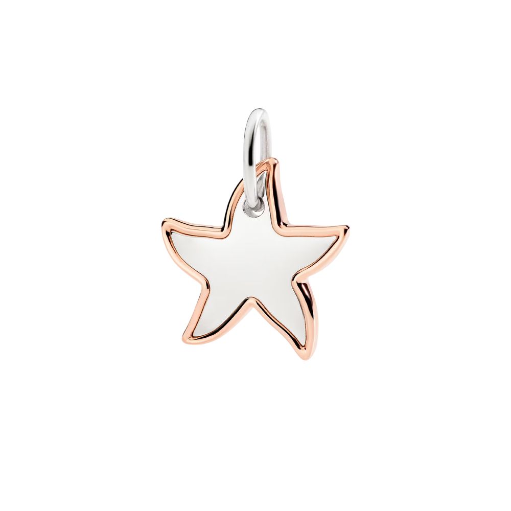 Pendentif Xl Stellina Argent Et Or Rose
